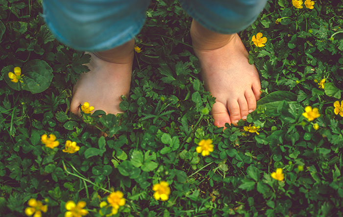 CUIDA TU JARDÍN EN VERANO