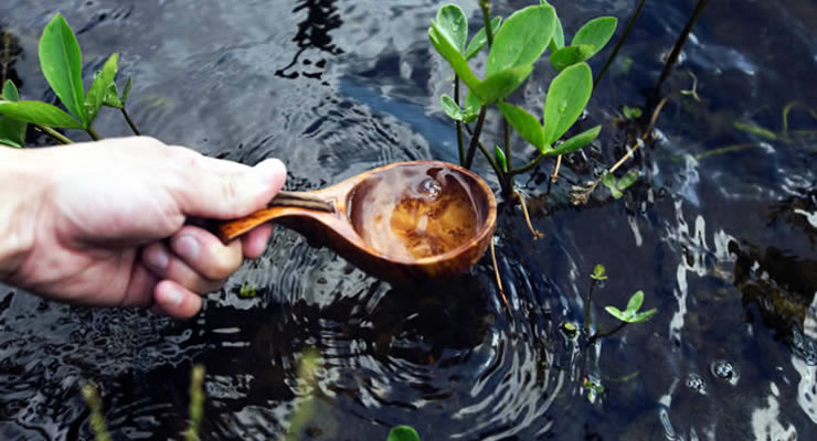 Tips fáciles y divertidos para cuidar el agua: Cómo ahorrar agua?