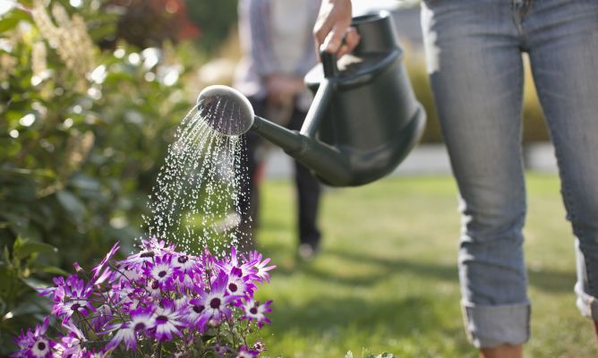 ¿Cuánta agua necesitan nuestras plantas en primavera?